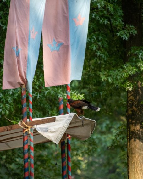 Ein Vogel sitzt auf einer Plattform, im Hintergrund sind farbige Fahnen zu sehen.